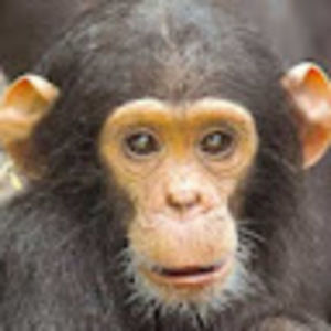 Meet your Posher, Mackenzie